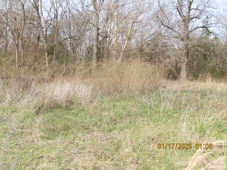 172 E College St, Saulsbury, TN 38067 - Image #3