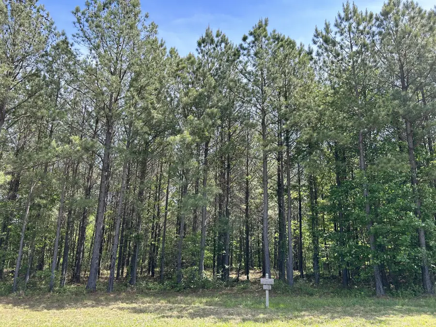 290 Bear Trace Drive, Jasper, TN 37347 - Image #3