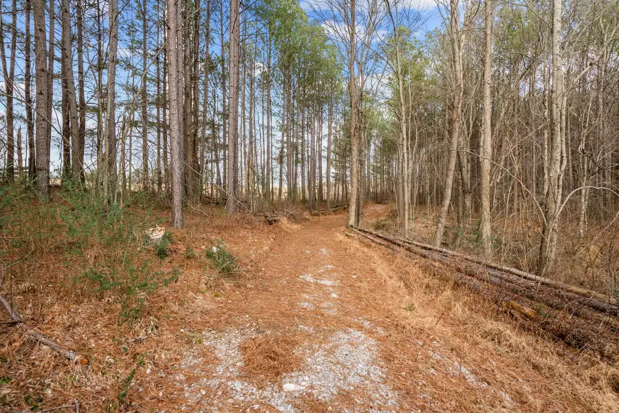 185 Mount Vernal Rd, Rockwood, TN 37854 - Image #3