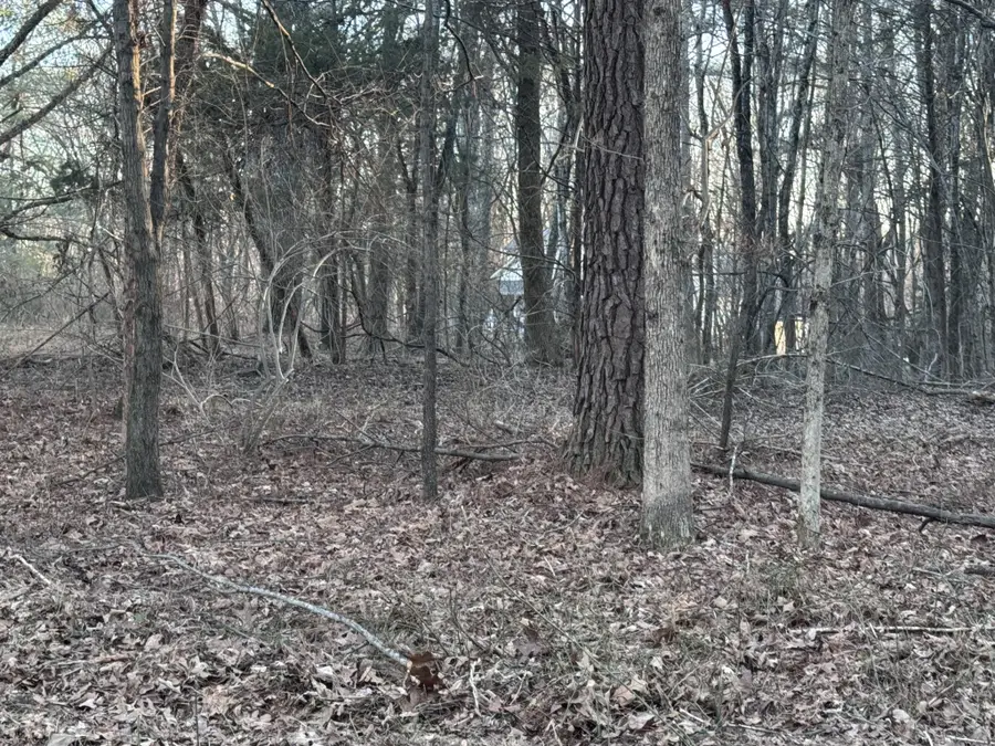 326 Kaiser Rd, Dickson, TN 37055 - Image #2