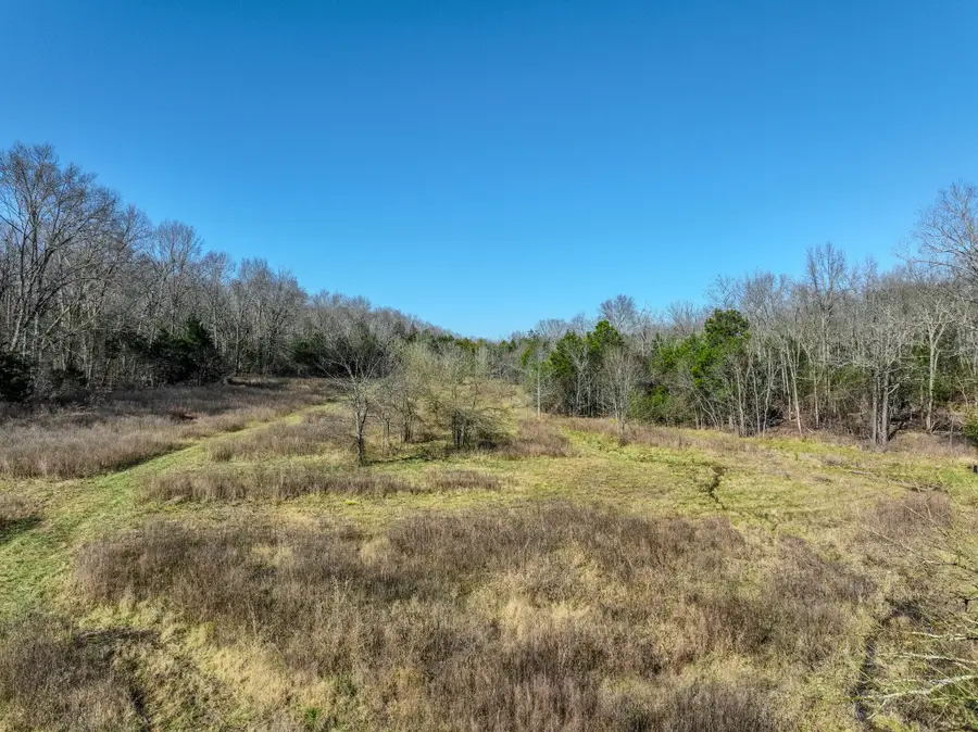 0 Lasea Rd, Spring Hill, TN 37174 - Image #2