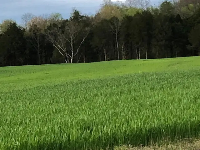 1705 Highway 141 N, Hartsville, TN 37074 - Image #3