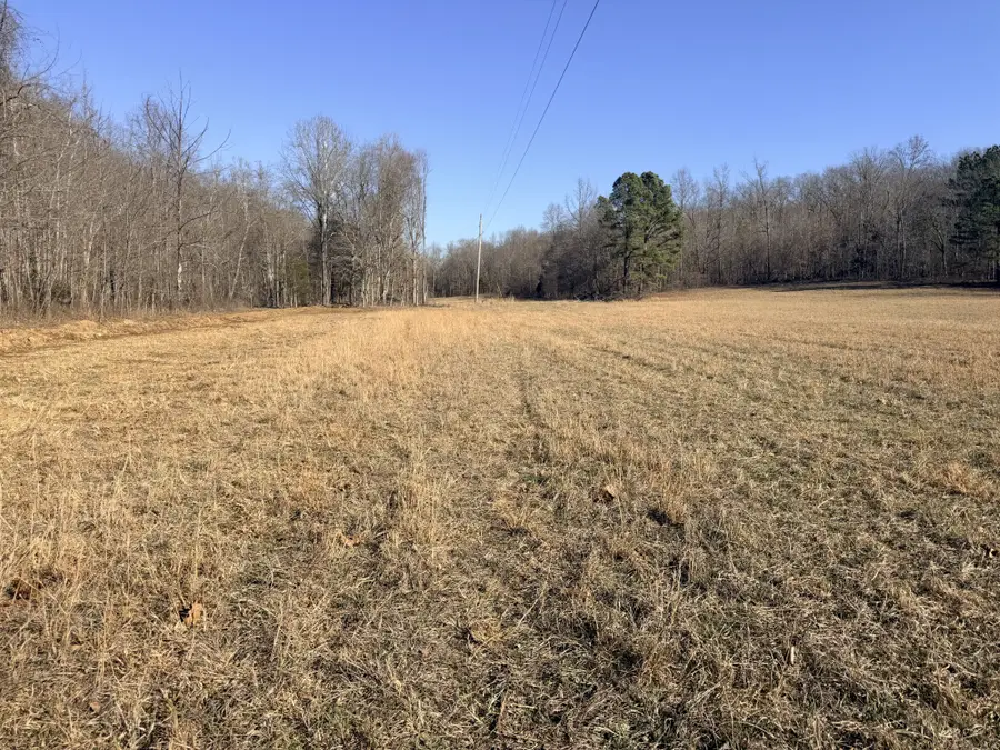 12 John Ross Hollow, Erin, TN 37061 - Image #2