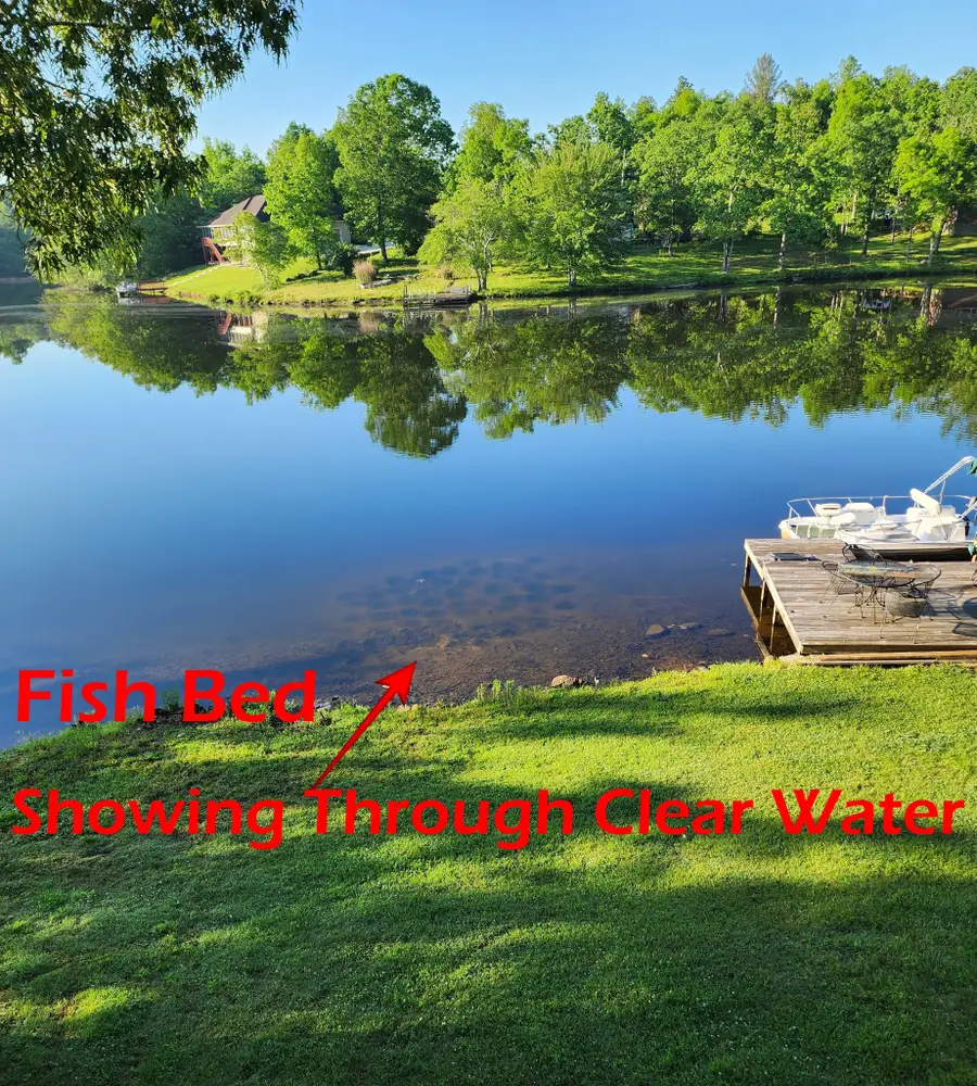 130 Mena Ln, Crossville, TN 38572 - Image #3