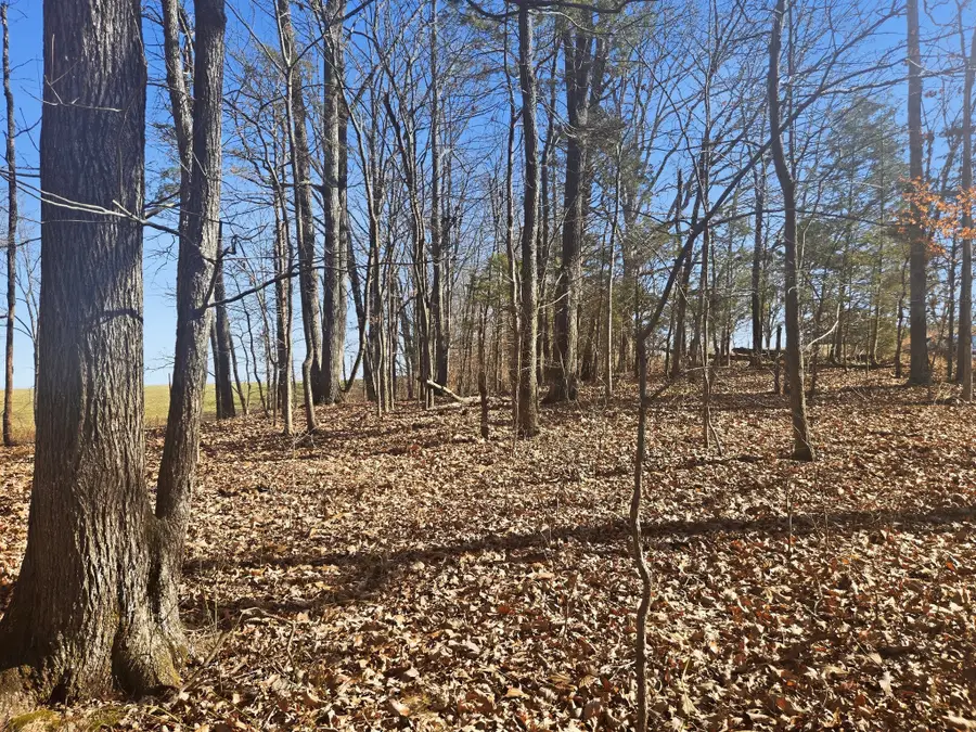 0 Buckeye Road, Cumberland City, TN 37050 - Image #2