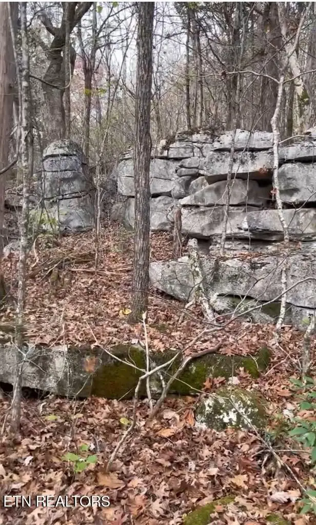 1644 Walker Cove Rd, Sparta, TN 38583 - Image #2