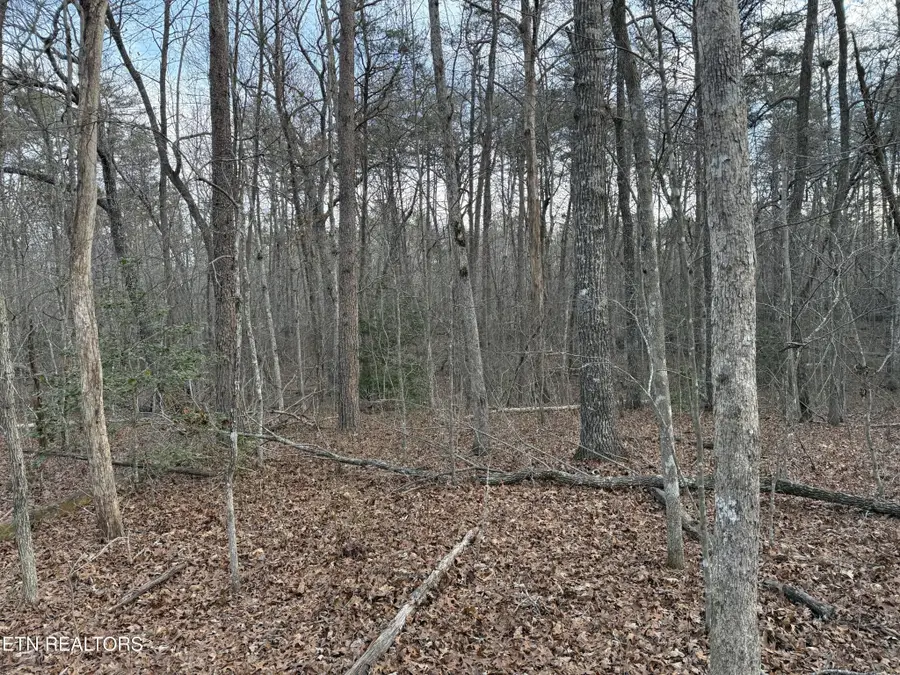 0 Crystal Point, Monterey, TN 38574 - #2