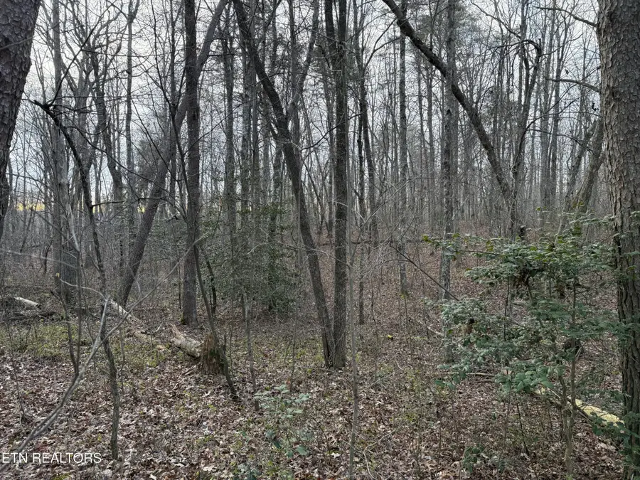 0 N Laurel Loop, Monterey, TN 38574 - #2