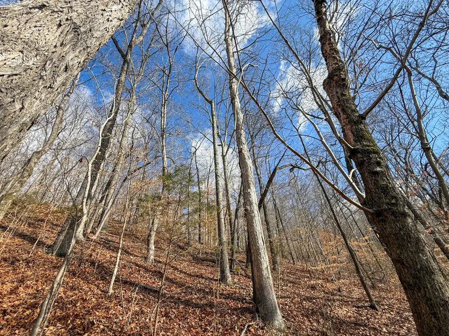 0 Carr Creek Road, Normandy, TN 37360 - #3