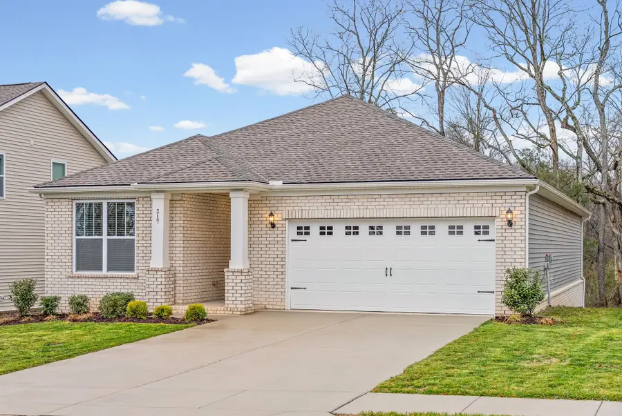 217 Viceroy Dr, Clarksville, TN 37043 - Image #2