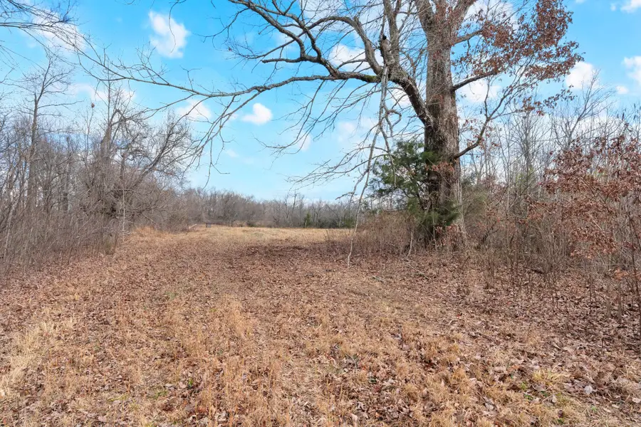 0 Possum Trott Road, Shelbyville, TN 37160 - Image #3