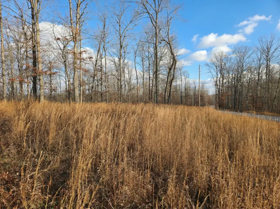 0 Havenwood Rd, Mc Ewen, TN 37101 - #2