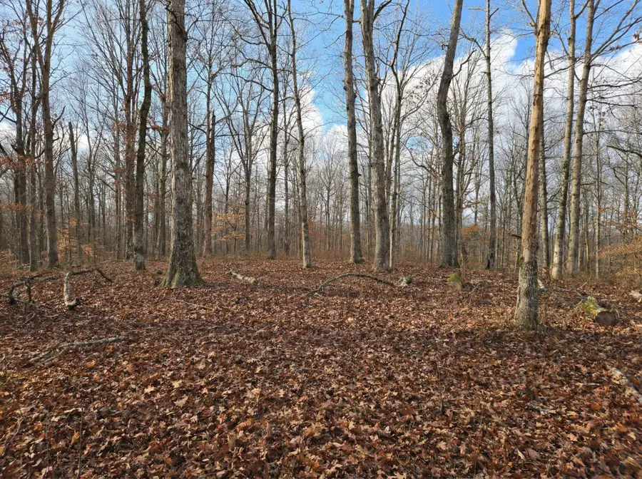 0 Havenwood Rd, Mc Ewen, TN 37101 - #3