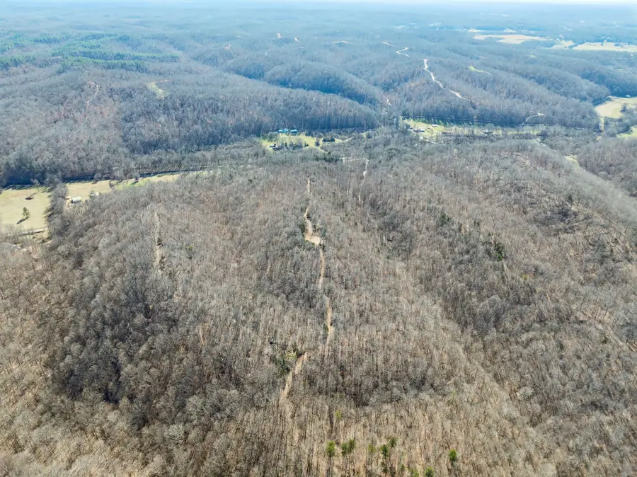 0 Hurricane Creek Road, Linden, TN 37096 - #2