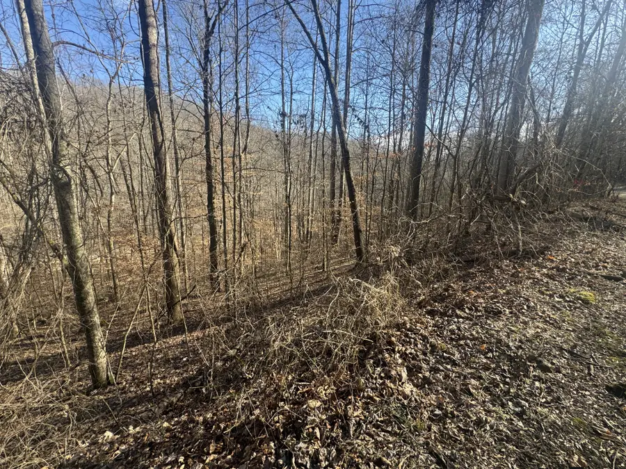 0 Lakeside Dr, Smithville, TN 37166 - #3