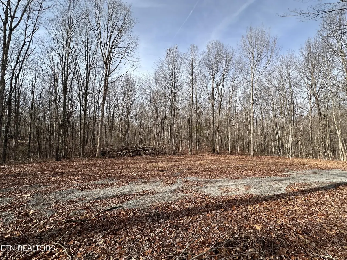 212 Bear Hollow Rd, Jamestown, TN 38556 - Image #1