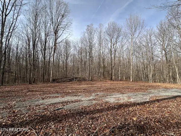 212 Bear Hollow Rd, Jamestown, TN 38556