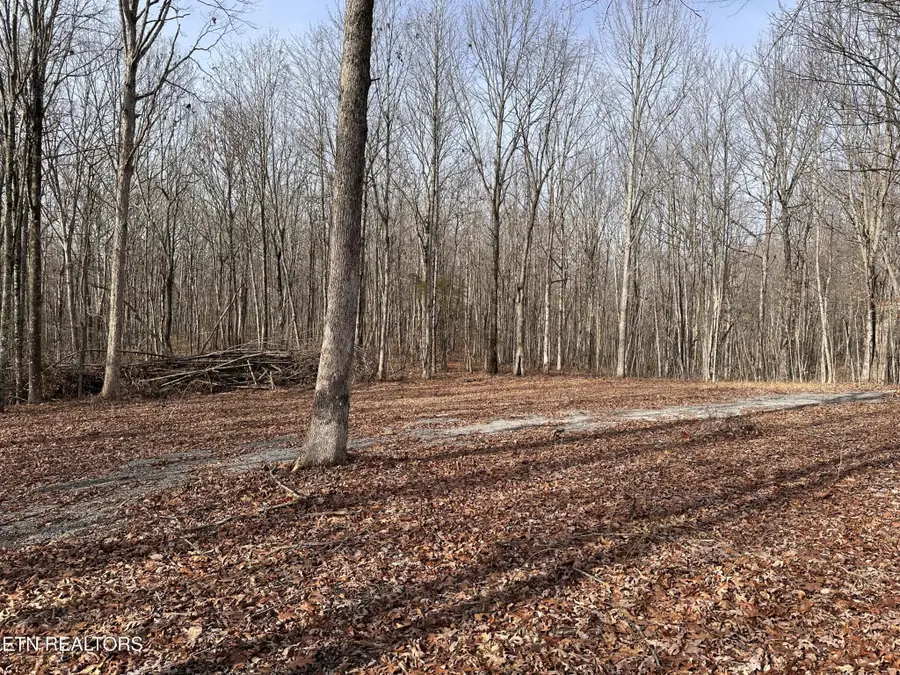 212 Bear Hollow Rd, Jamestown, TN 38556 - Image #2