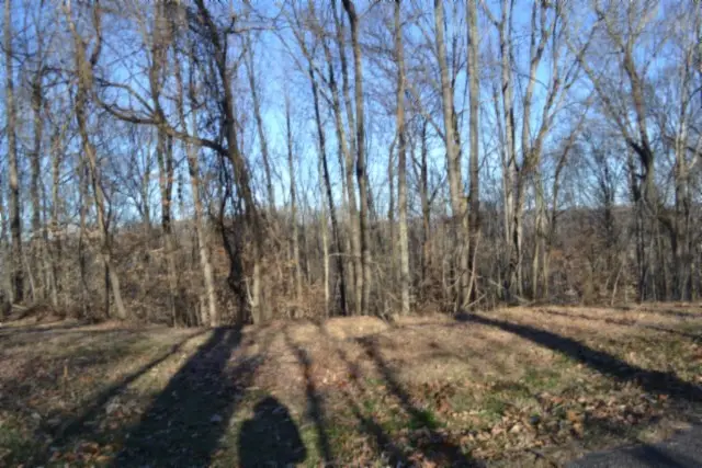 0 Cabin Hill Rd, Celina, TN 38551 - #2