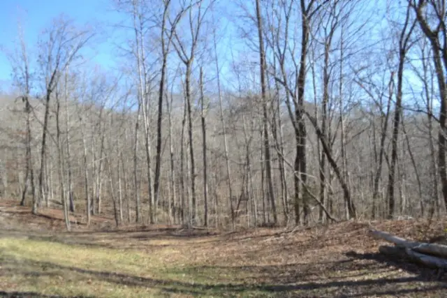 0 Cheyenne Drive, Jamestown, TN 38556 - Image #1