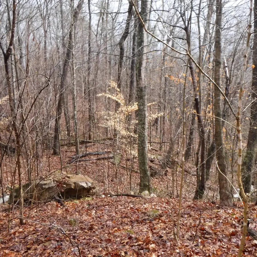 0 Cheyenne Drive, Jamestown, TN 38556 - Image #3