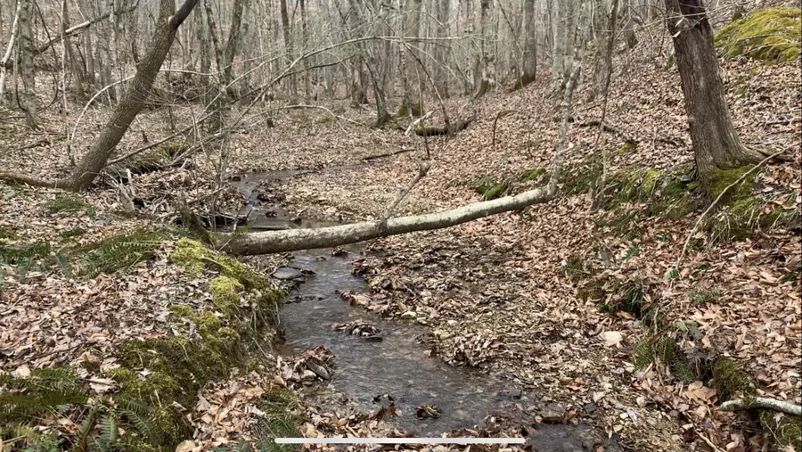 0 West Mackey Rd, Iron City, TN 38463 - #2