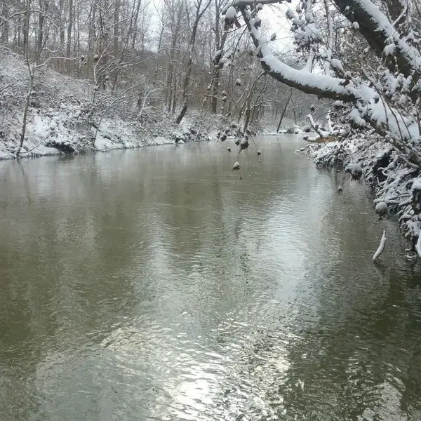 1440 Mcclardy Road, Clarksville, TN 37042