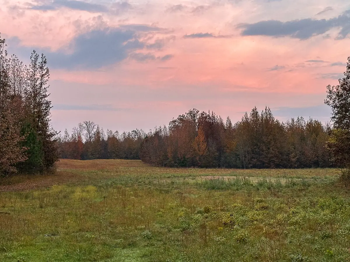 0 Hines Gin Road, Selmer, TN 38375 - #1