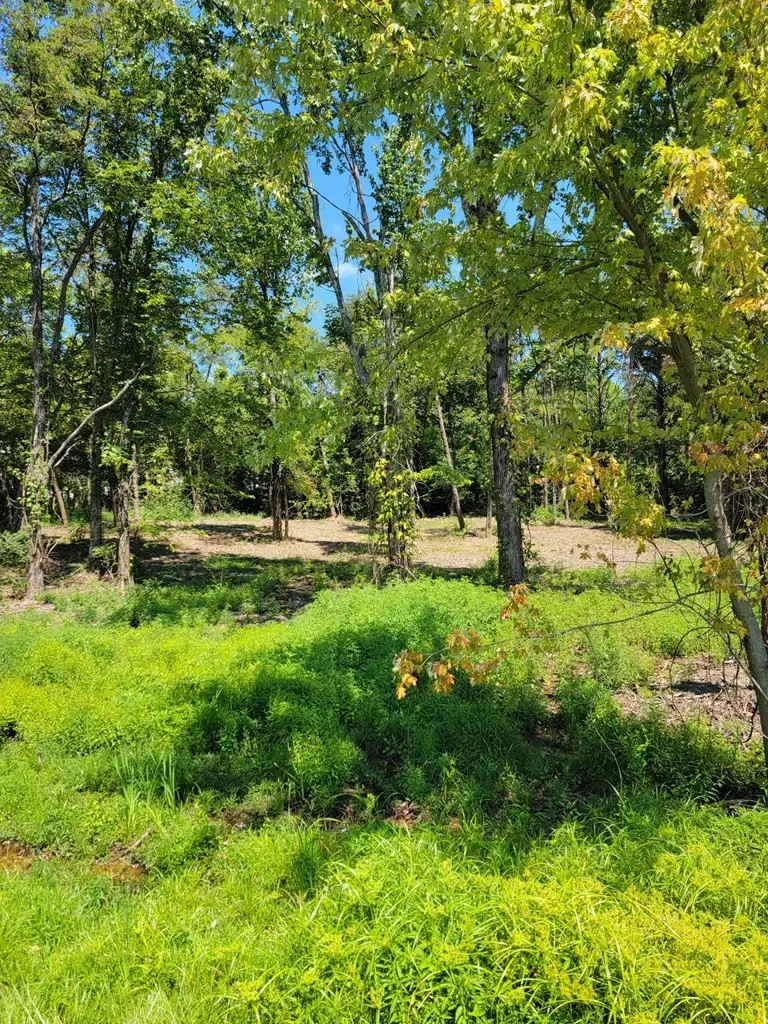 204 Vandy Cir, Sparta, TN 38583 - Image #3