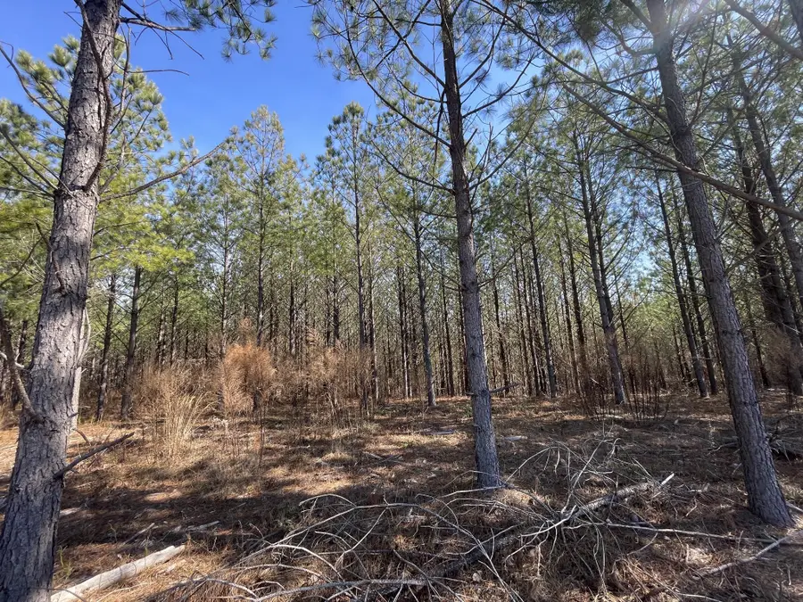 84 Ridgewood Dr, Linden, TN 37096 - #2