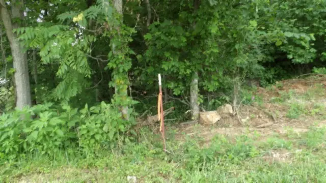 0 Livingston Hwy, Byrdstown, TN 38549 - #3