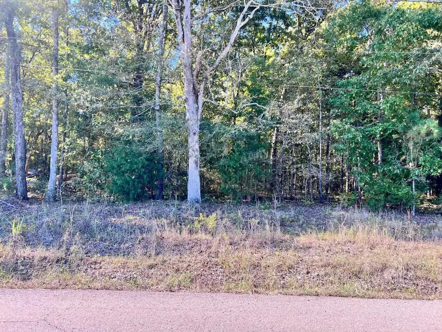 0 Melvin Qualls Rd, Michie, TN 38357 - Image #2