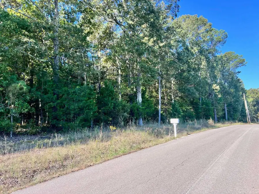 0 Melvin Qualls Rd, Michie, TN 38357 - Image #3