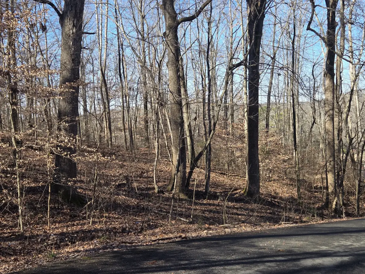 0 Westwood Dr Main St, Waverly, TN 37185 - #1