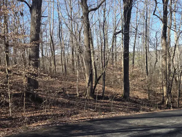 0 Westwood Dr Main St, Waverly, TN 37185