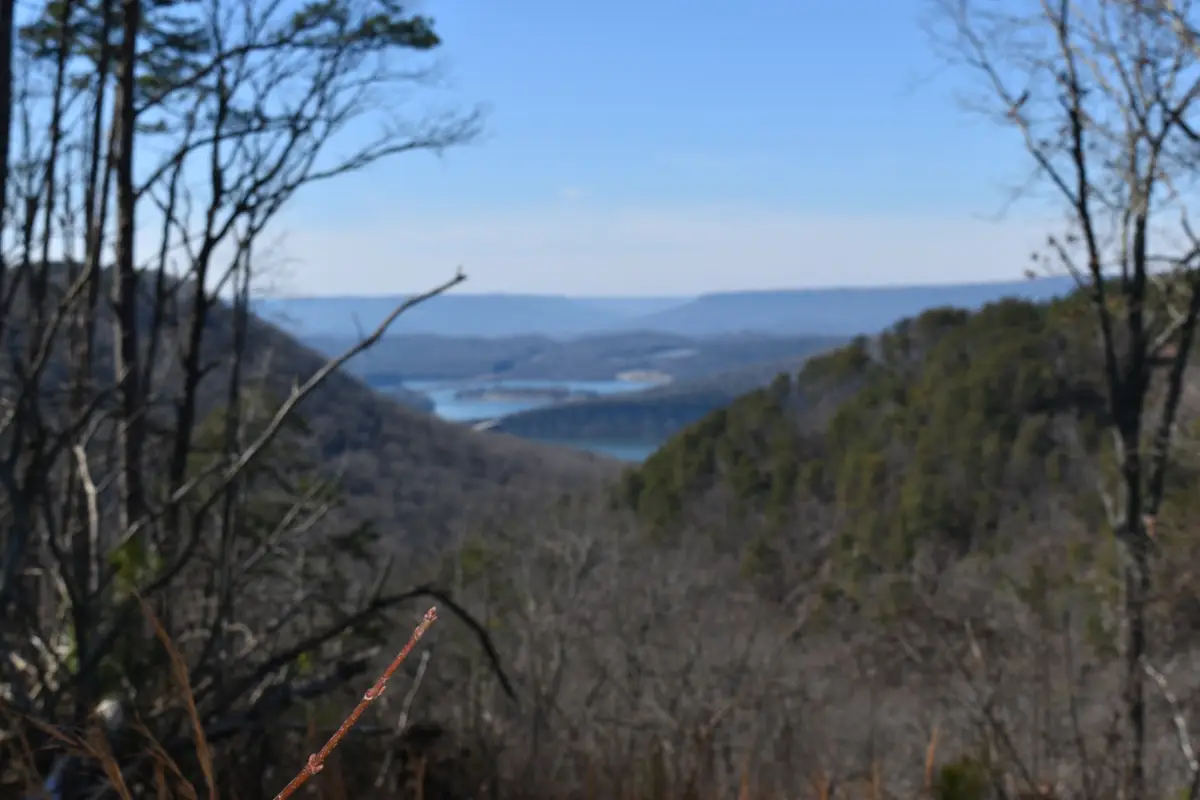 0 Birds Eye Way, Guild, TN 37340 - #1