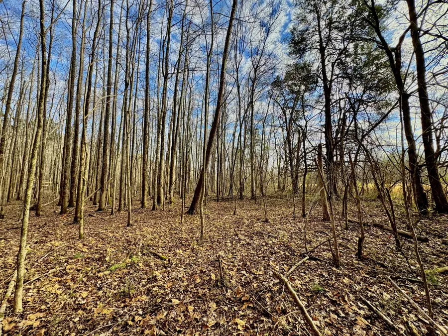 2596 Old Weatherford Creek Rd, Lutts, TN 38471 - #2