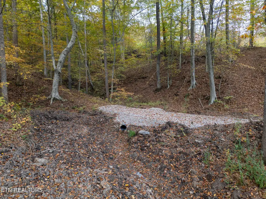 2 W Bullrun Valley Drive, Heiskell, TN 37754 - #2