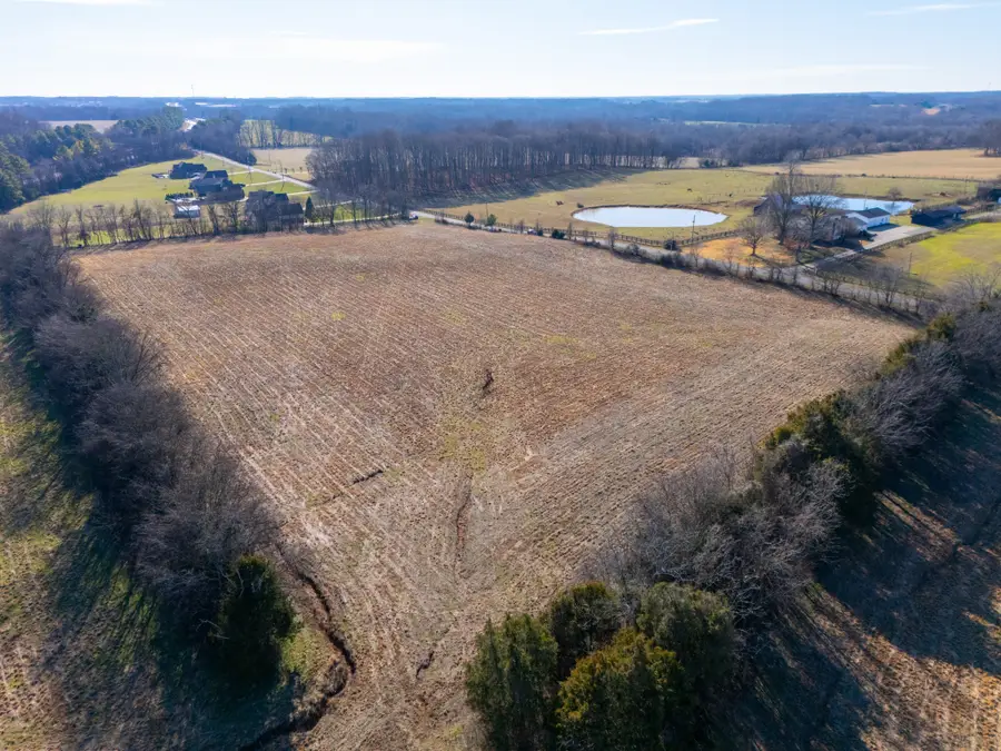 8203 Horseshoe Road, Cross Plains, TN 37049 - #3