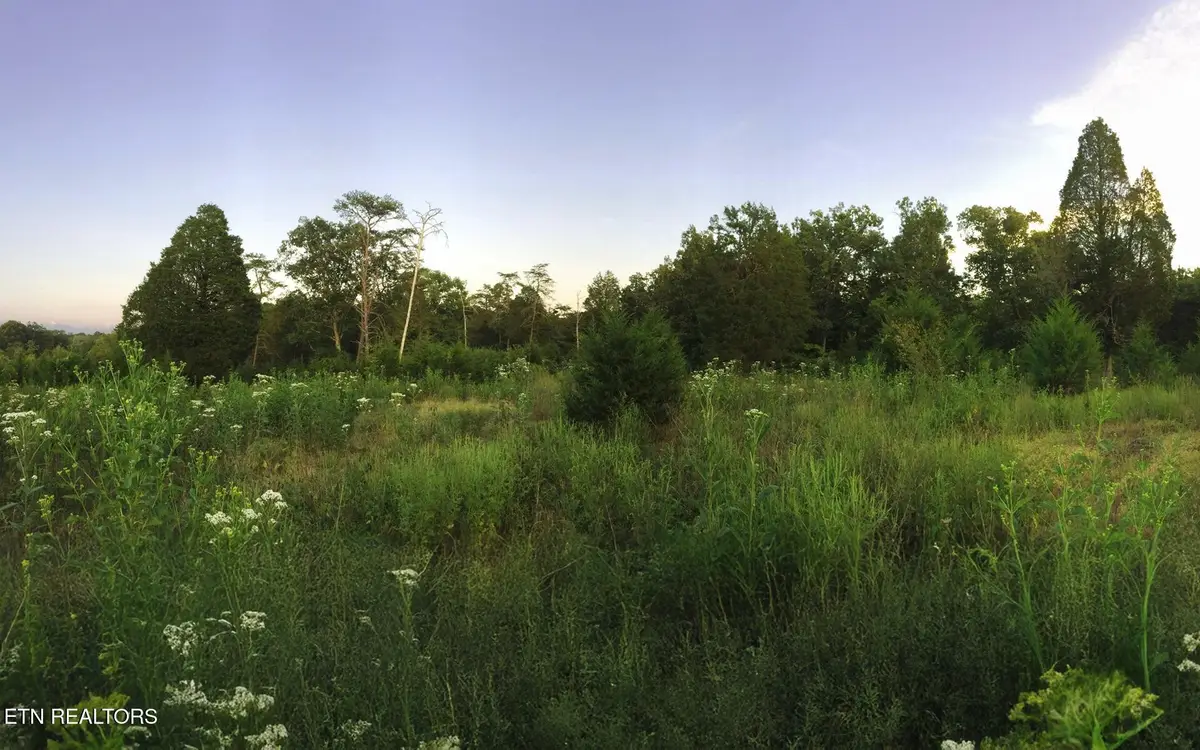 0 Thorngrove Pike, Strawberry Plains, TN 37871 - #1