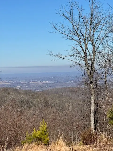 0 Box House Rd, Belvidere, TN 37306