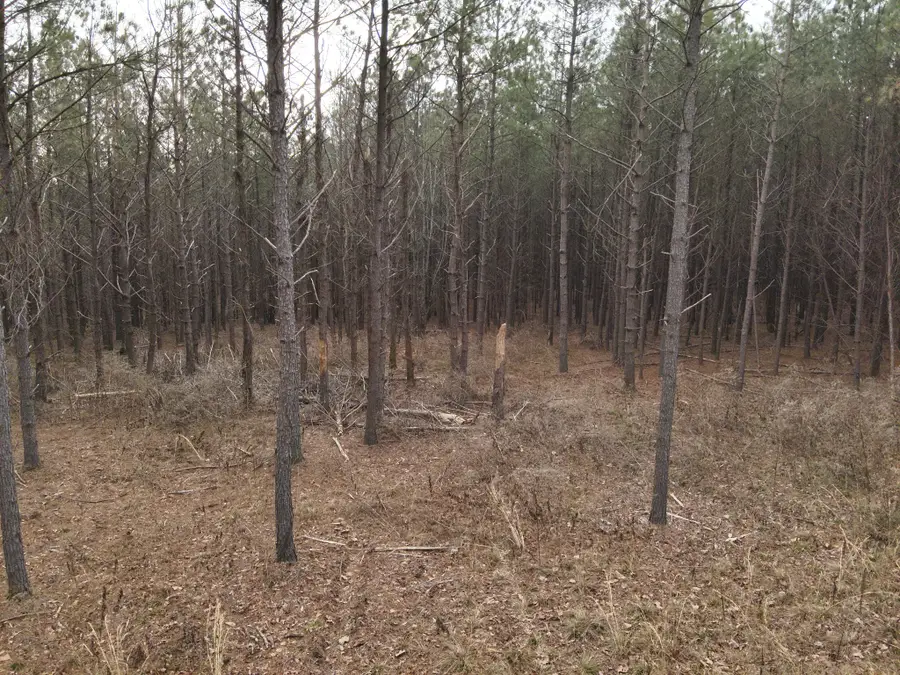 3105 Waynesboro Hwy, Hohenwald, TN 38462 - #2