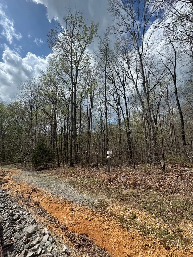 345 Drew Court, Smithville, TN 37166 - #2