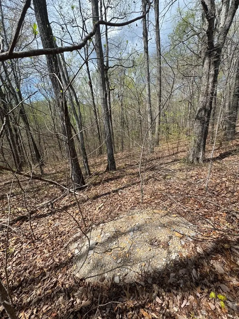 345 Drew Court, Smithville, TN 37166 - #3