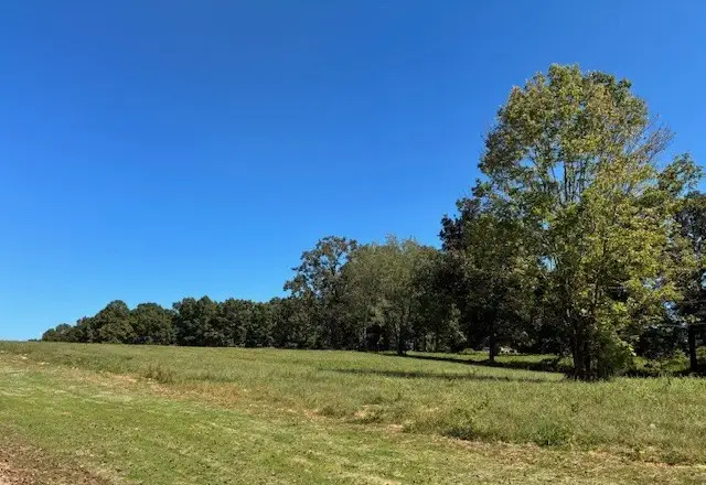 3200 Hunziker Lane, Fairview, TN 37062 - #3