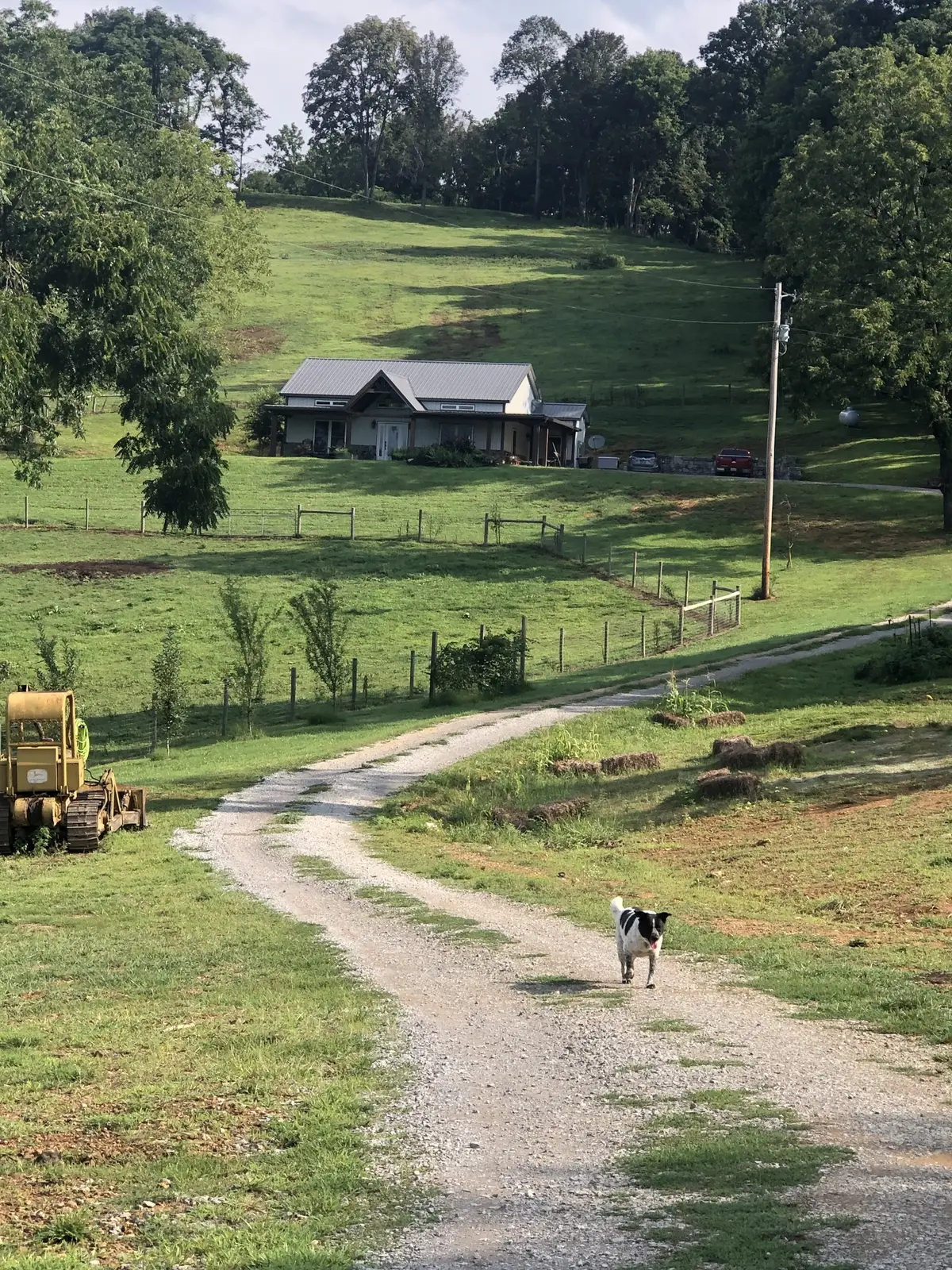 1302 Coosie Branch Rd, Cornersville, TN 37047 - Image #1