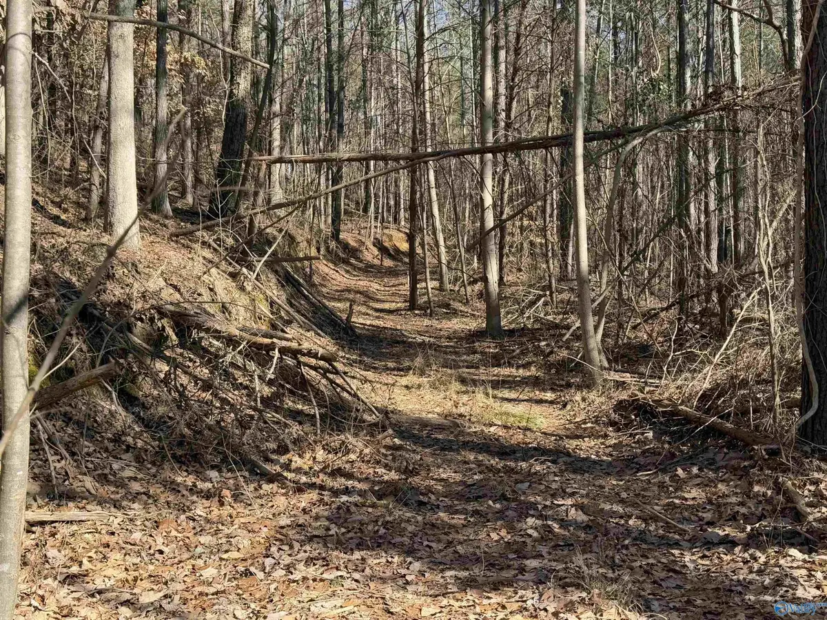 0 County Road 261, Town Creek, AL 35672 - #1