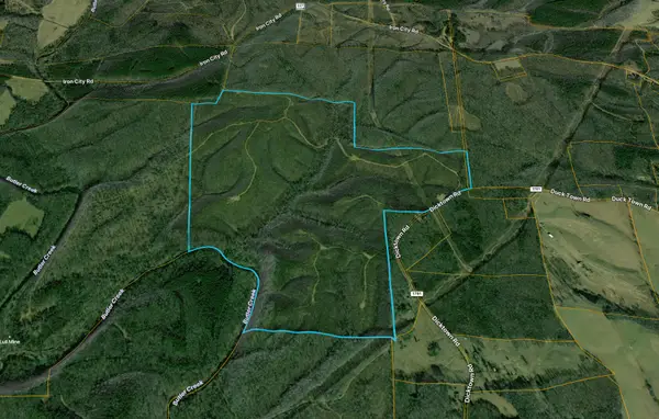 0 State Line Road, Iron City, TN 38463