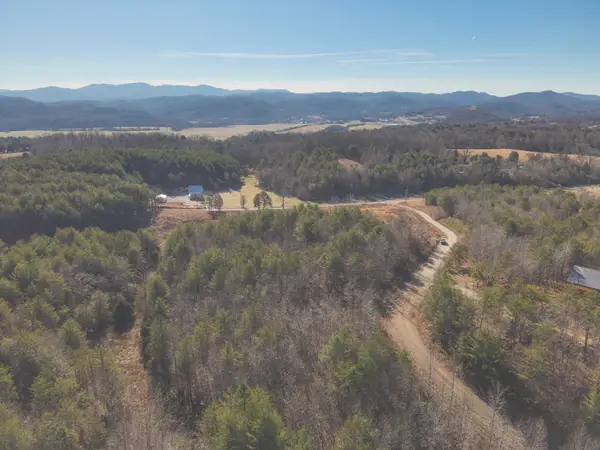 0 Curtis Road, Tellico Plains, TN 37385
