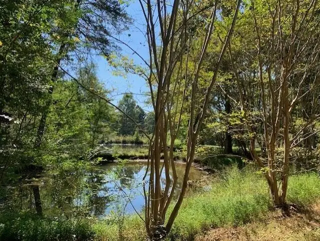 348 Howard Road, Decatur, TN 37322 - #2